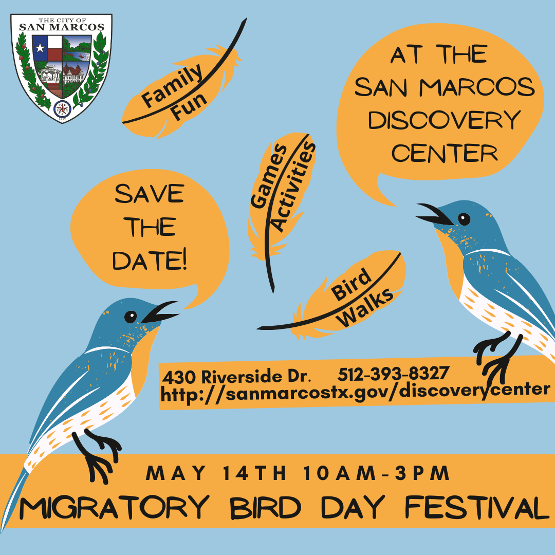 Migratory Bird Day Festival World Migratory Bird Day